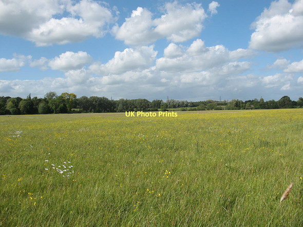 Photo 6"x4" Hunsdon Mead nature reserve Eastend\/TL4210 c2011