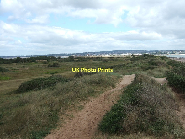 Photo 6"x4" The dunes at Dawlish Warren Exmouth c2011