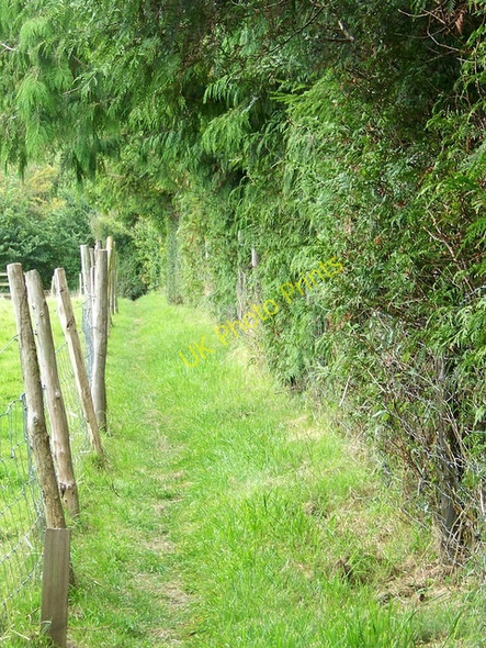 Photo 6"x4" Footpath, Heytesbury Heytesbury c2009