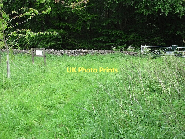 Photo 6"x4" Woodland, Falfield Peat Inn c2011 P1