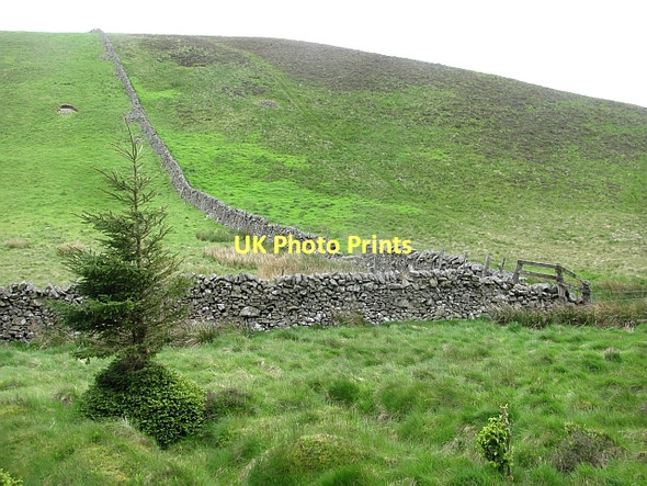 Photo 6"x4" Early Knowe Walkerburn c2011