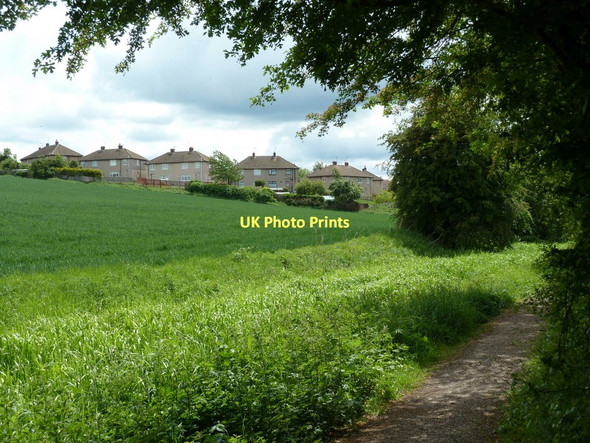 Photo 6"x4" Footpath near Mastin Moor Staveley\/SK4374 c2011
