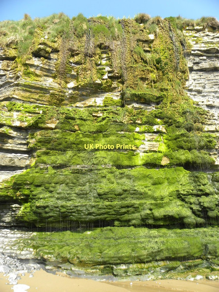 Photo 6"x4" Waterfall at Cwm Mawr Southerndown c2011