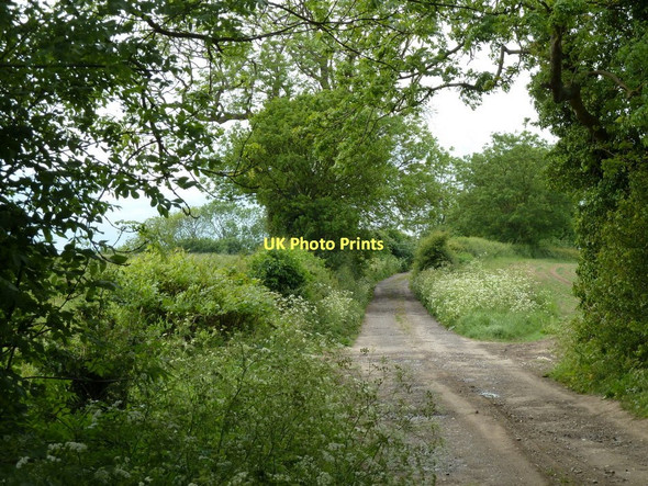 Photo 6"x4" Farm track, Woodhouse Lane Barlborough c2011