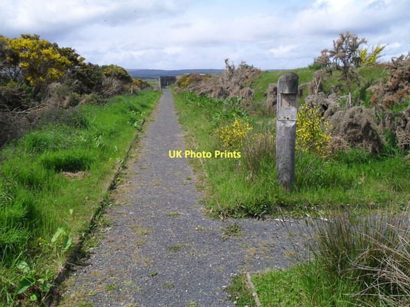 Photo 6"x4" Path to hide at Nigg Nature Reserve Pitcalnie c2011
