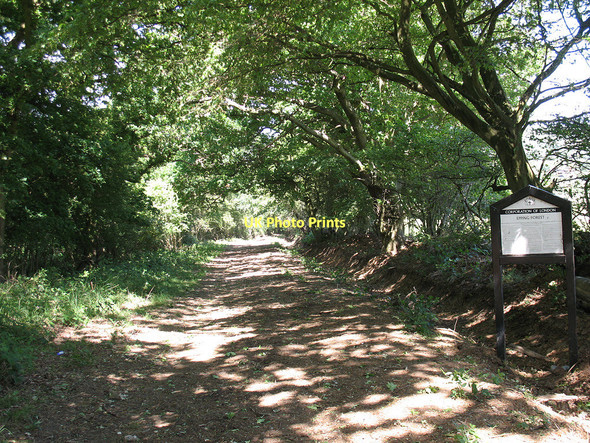 Photo 6"x4" Byway to Nazeing Long Green Nazeing Long Green c2011