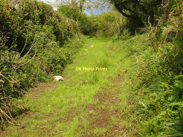 Photo 6"x4" Lane to ruins Llanteg c2010