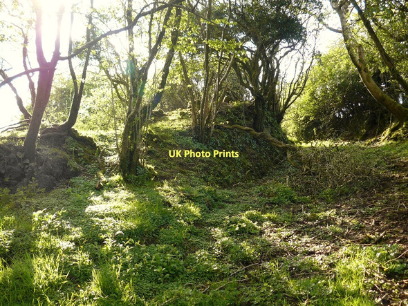 Photo 6"x4" Overgrown ruins Llanteg c2010