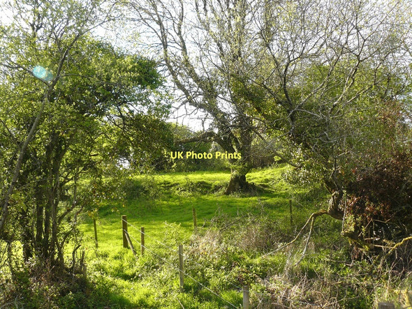 Photo 6"x4" Site of farm ruins Llanteg c2010