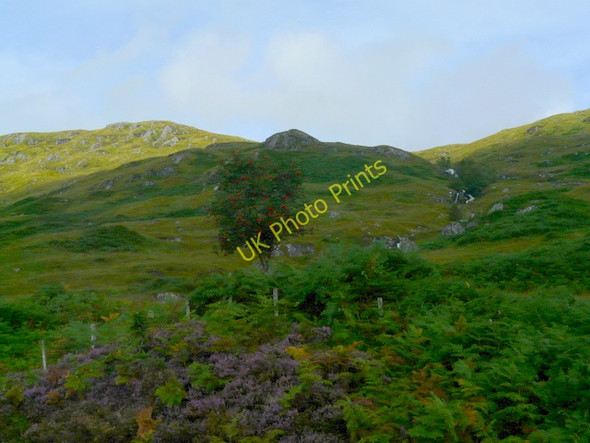 Photo 6"x4" Moorland near Loch Cluanie Allt Coire L\u00e0ir c2009