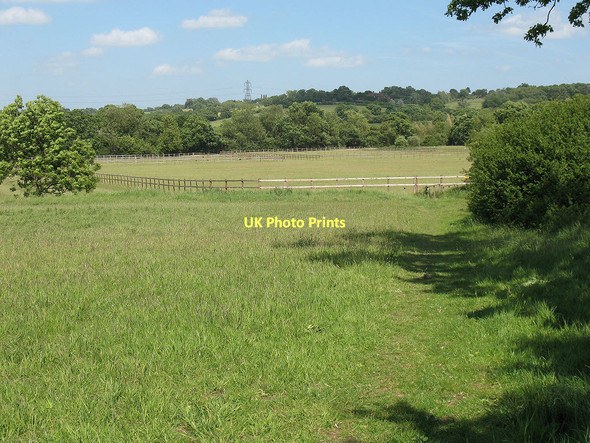 Photo 6"x4" Footpath near Nazeing Bumble's Green c2011