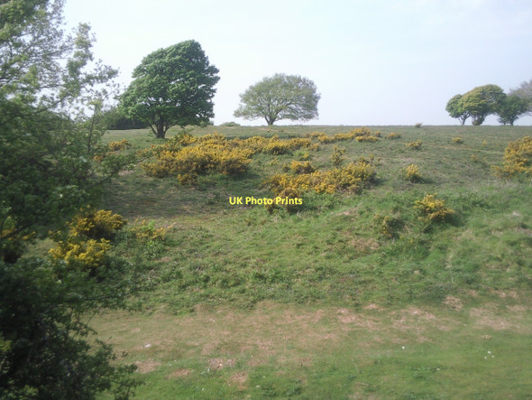 Photo 6"x4" Within the wall of Cissbury Ring Findon Valley c2011