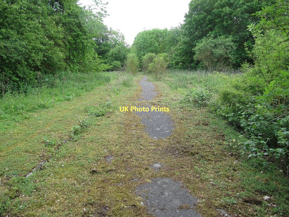 Photo 6"x4" Into the shrubs Chilton\/SU4885 c2011