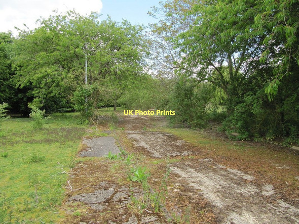 Photo 6"x4" Lamppost in the trees Chilton\/SU4885 c2011