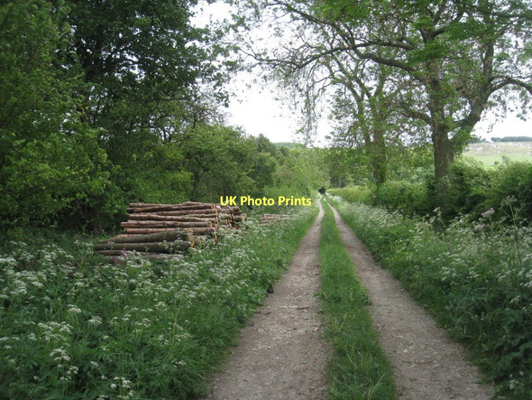 Photo 6"x4" Track to Oxpasture Wood Wharram Percy c2011
