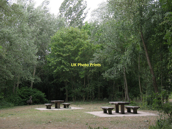 Photo 6"x4" Picnic tables at Fishers Green Cheshunt c2011