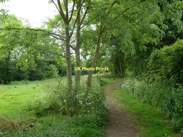 Photo 6"x4" Footpath south of Station New Road Clay Cross c2011