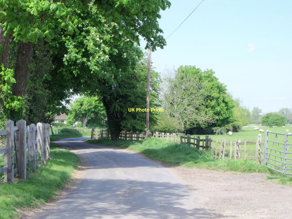Photo 6"x4" Lane at Snargate, Kent Snargate c2010