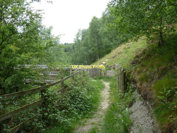 Photo 6"x4" Path in railway cutting approaching footbridge Clay Cross c2011