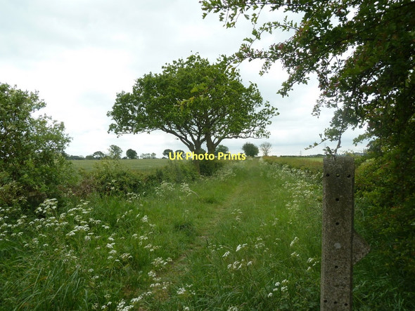 Photo 6"x4" Footpath towards Morton Clay Cross c2011