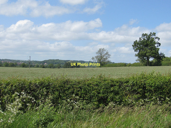 Photo 6"x4" Across the fields to Kirkbymoorside Great Edstone c2011