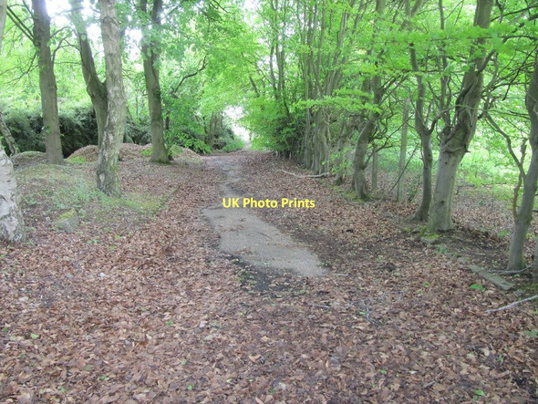 Photo 6"x4" Leaves on the road Chilton\/SU4885 c2011
