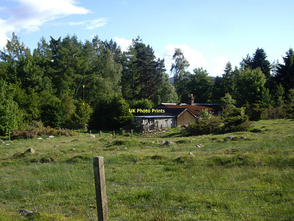 Photo 6"x4" The Bungalow at closer range Millfield\/NO4896 c2011