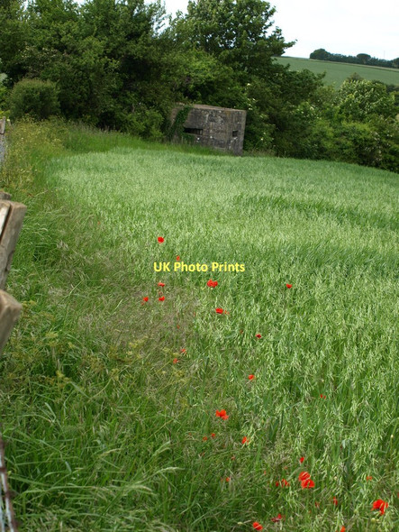 Photo 6"x4" Pill Box Folkestone c2011