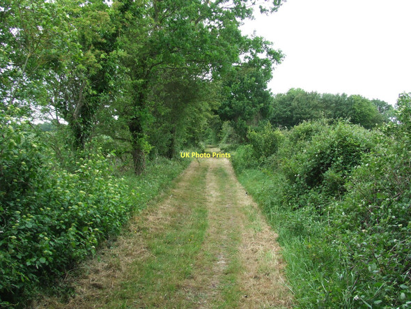 Photo 6"x4" Green Footpath Redlingfield c2011