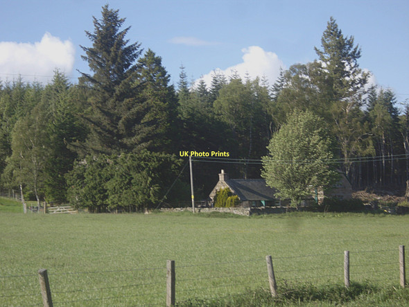 Photo 6"x4" Kildhu Cottage Millfield\/NO4896 c2011