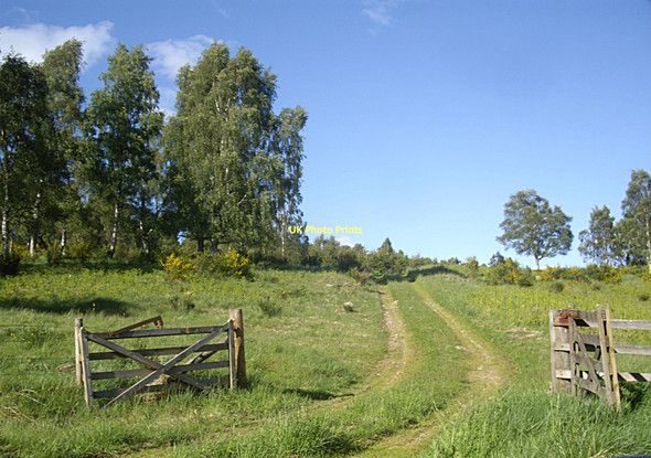 Photo 6"x4" Farm track in Glen Tanar Millfield\/NO4896 c2011