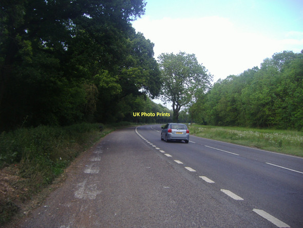 Photo 6"x4" Winchester Road, east of Four Marks Chawton c2011