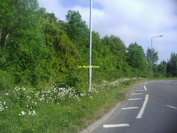 Photo 6"x4" Roundabout on A31, Holybourne Alton\/SU7139 c2011