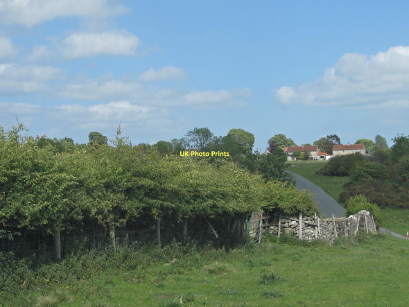 Photo 6"x4" The edge of Appleton-le-Moors Appleton-le-Moors c2011