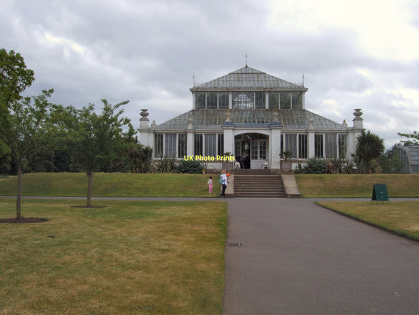 Photo 6"x4" Temperate House Brentford c2011