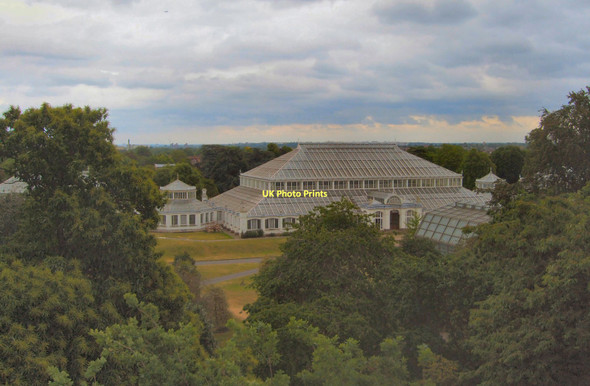 Photo 6"x4" Temperate House - Kew Brentford c2011
