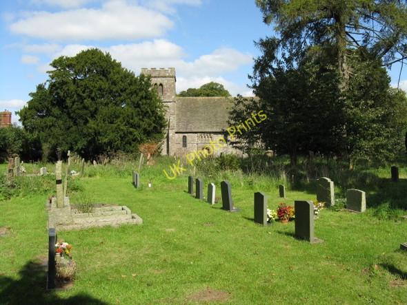 Photo 6"x4" Bockleton Churchyard Bockleton c2009