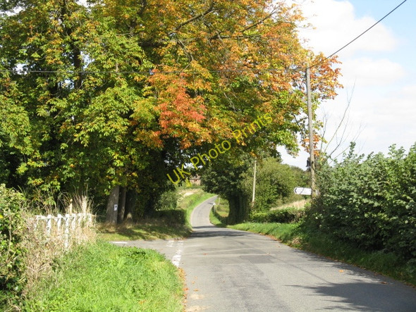 Photo 6"x4" Lane Junction North Of Bockleton Bockleton c2009