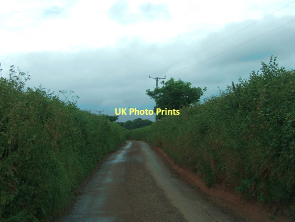 Photo 6"x4" Markham Lane looking west Alphington c2011