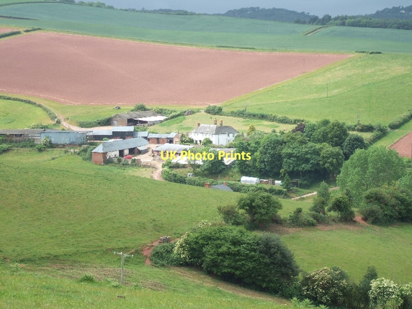 Photo 6"x4" Whiddon Farm Ide c2011