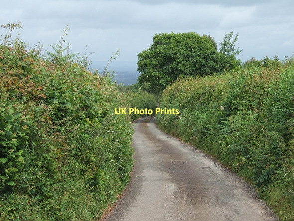 Photo 6"x4" Road leading east from Idestone Cross Clapham\/SX8987 c2011