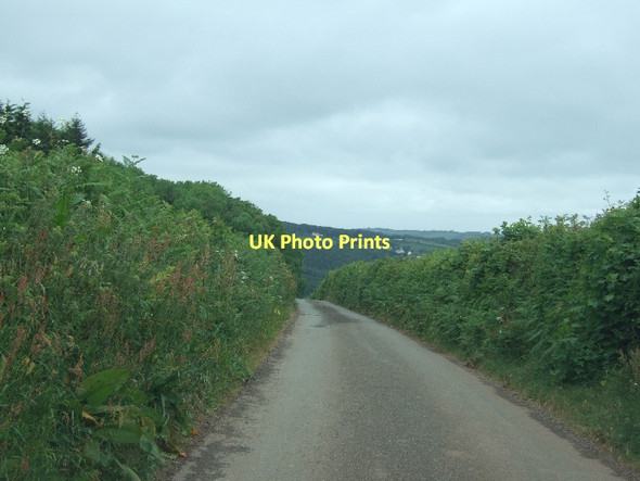 Photo 6"x4" Road approaching Knowle Plantation Dunchideock c2011