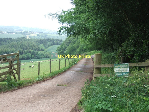 Photo 6"x4" Private road to Halscombe Dunchideock c2011