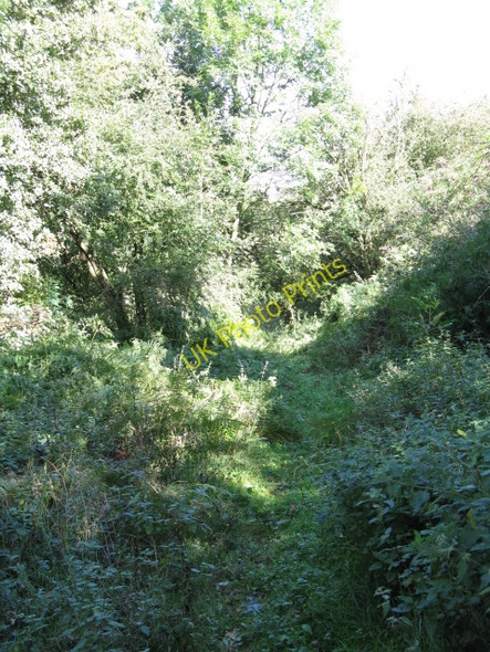 Photo 6"x4" Bridleway Through Haws Hill Wood Oldwood\/SO5966 c2009