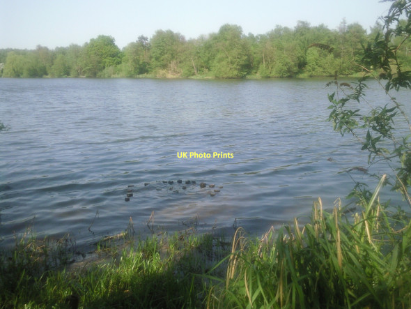 Photo 6"x4" Sevenoaks Wildlife Reserve Sevenoaks c2011