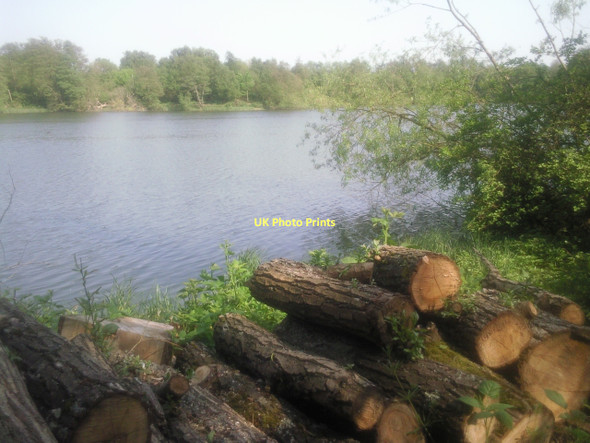 Photo 6"x4" Sevenoaks Wildlife Reserve Sevenoaks c2011