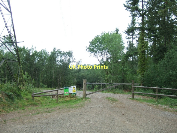 Photo 6"x4" Forestry operations in North Wood Dunchideock c2011