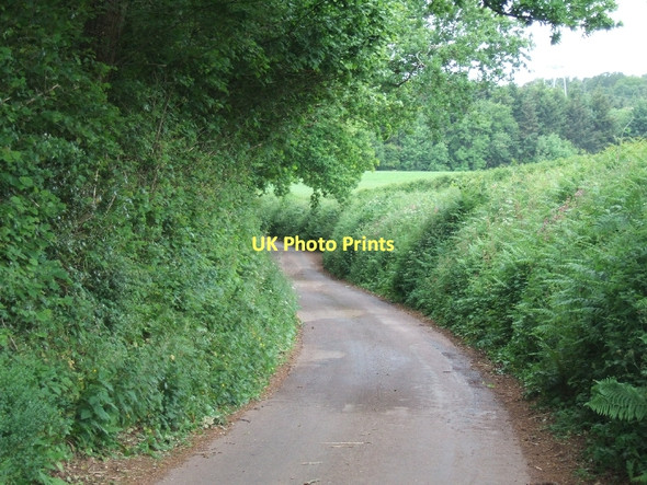 Photo 6"x4" The road to Windy Cross Dunchideock c2011