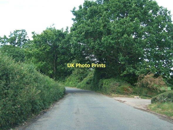Photo 6"x4" Road passing Westbury (entrance on right) Clapham\/SX8987 c2011