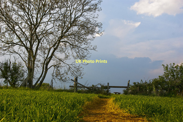 Photo 6"x4" Public Footpath Great Rissington c2011